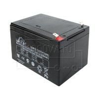 LEOCH DJW12-12