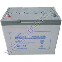 LEOCH LPG12-70