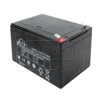 Аккумуляторная батарея LEOCH DJW12-12 для детского электромобиля - 12 В 12 Ач